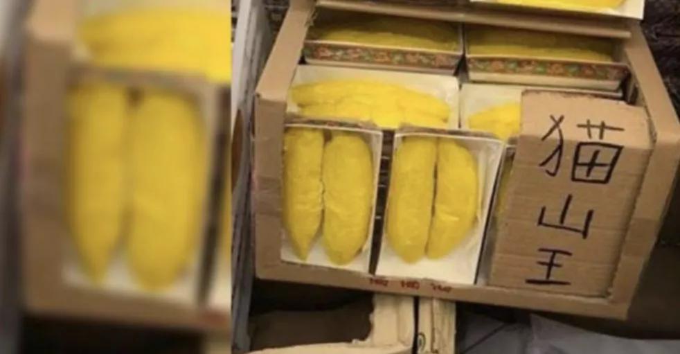 鬼月到来的风俗,鬼月来临禁忌图片