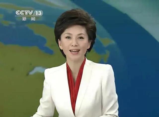 我最喜欢的节目主持人,央视主持人排名前十名都有谁