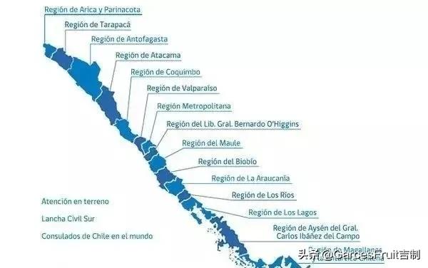 智利车厘子10大品牌,智利车厘子介绍视频