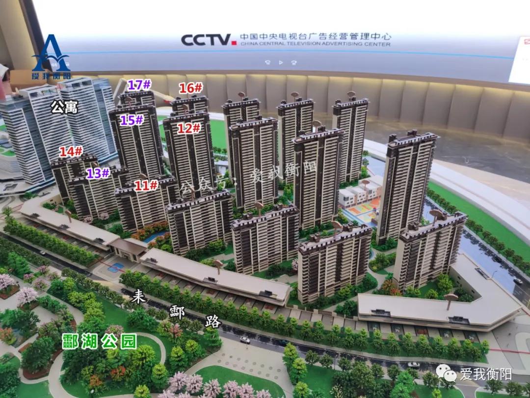 优缺点大评比!酃湖新城10个盘怎么选?