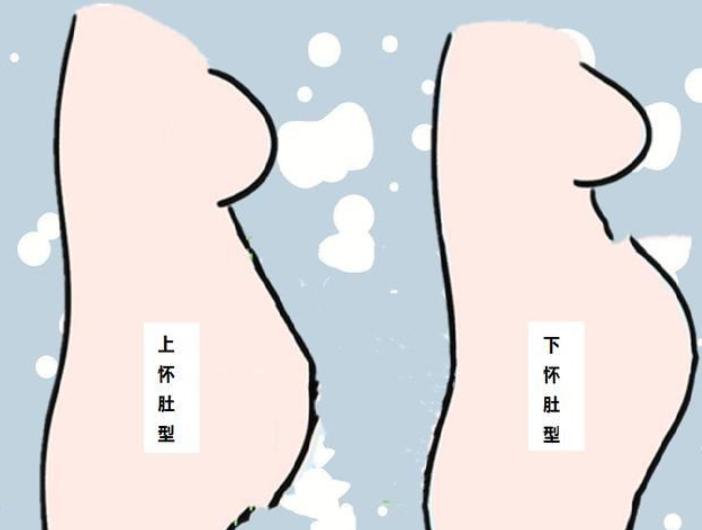 孕中期前壁上怀的肚型,怀孕下怀和上怀的肚子怎么看