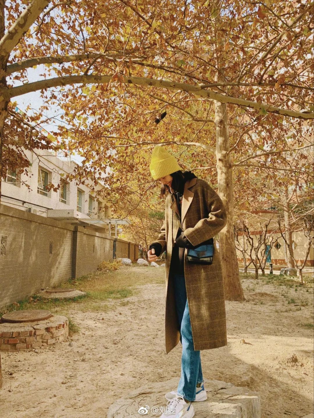 穿衣榜样|秋冬季的美丽同款与灵感