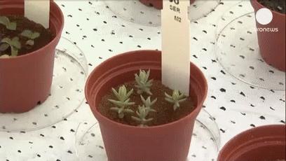 每日一问有好的想法怎么变现,怎么样才能在火星上生存