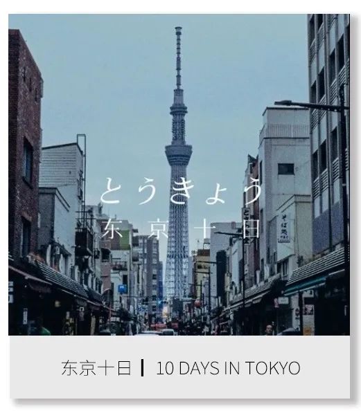 恋恋丽贝岛，人狗情未了|KohLipe