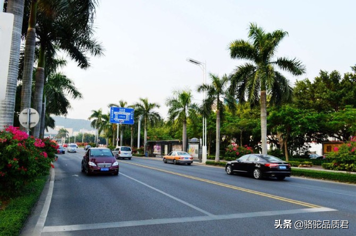 厦门海边之旅,厦门小众旅游体验