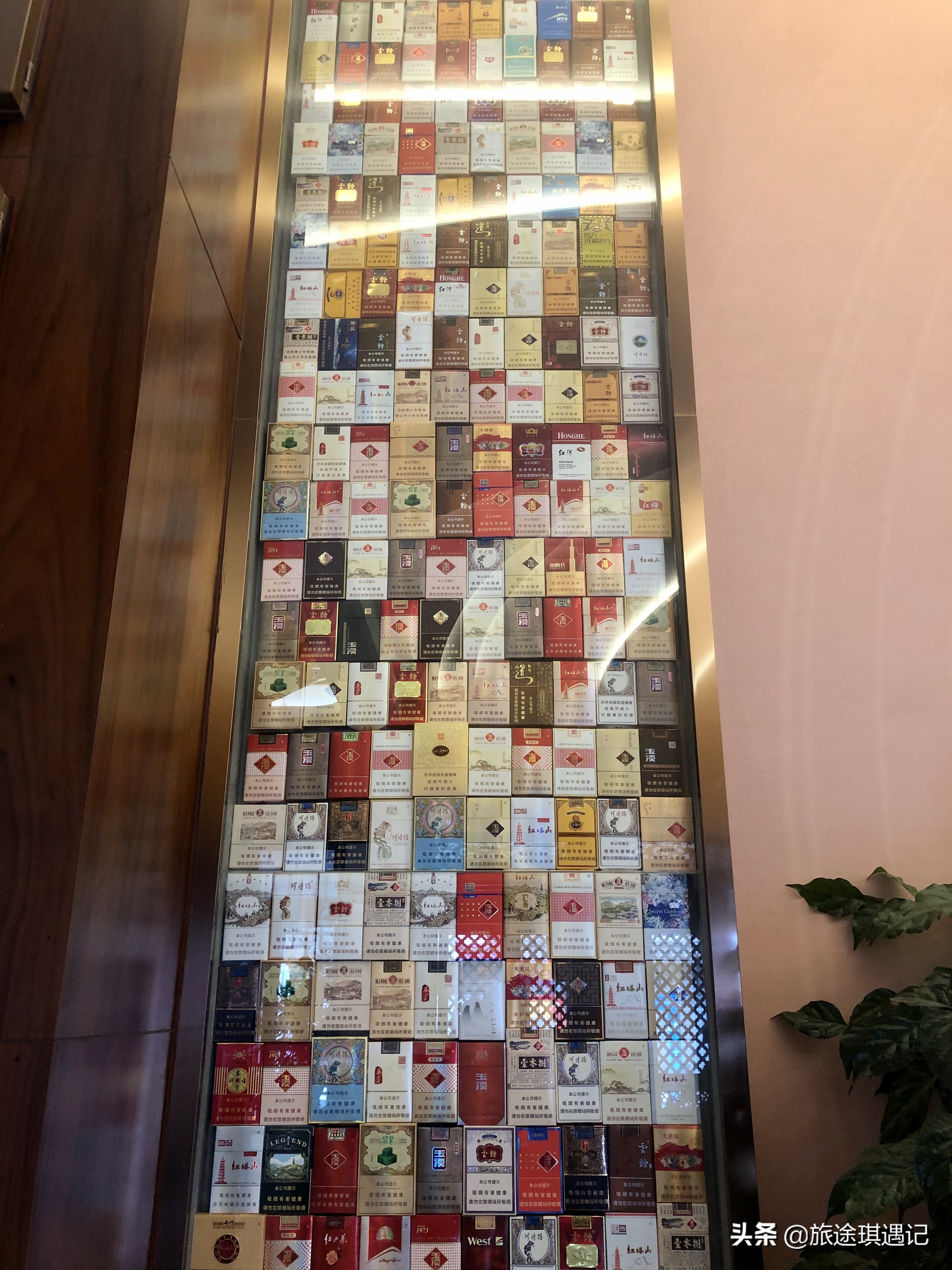 来玉溪的感受,来玉溪感受生物多样性之美