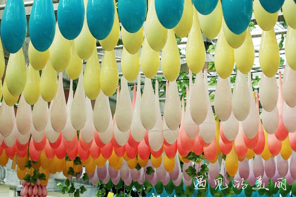 百万葵园有多坑,百万葵园免门票