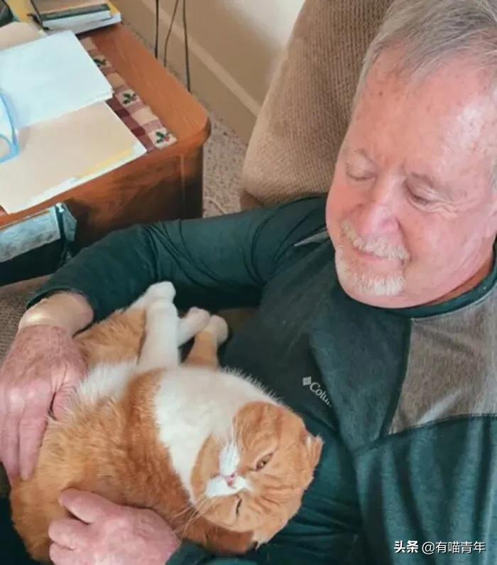 养猫也能治疗癌症?是真的