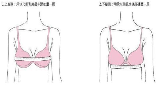于晓丹的内衣品牌,于晓丹内衣品牌