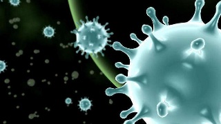 粪便新冠,粪便怎么检测新冠病毒感染