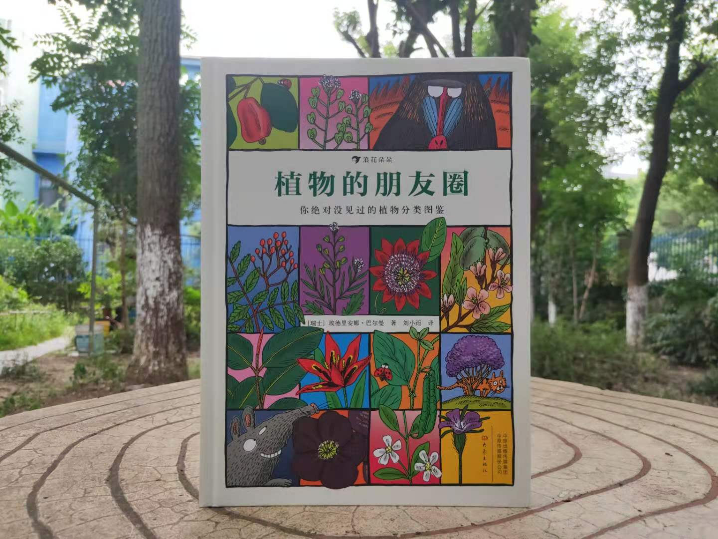 哪些植物有自己的小秘密,植物的朋友圈绘本视频