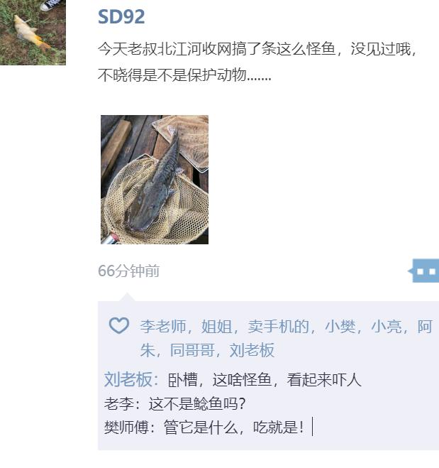 清远老乡北江河里捕获“虎皮怪鱼”，曾有多人遇见，能吃吗？