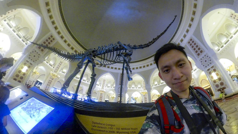 沙漠浪漫之旅迪拜,从天空进入海底