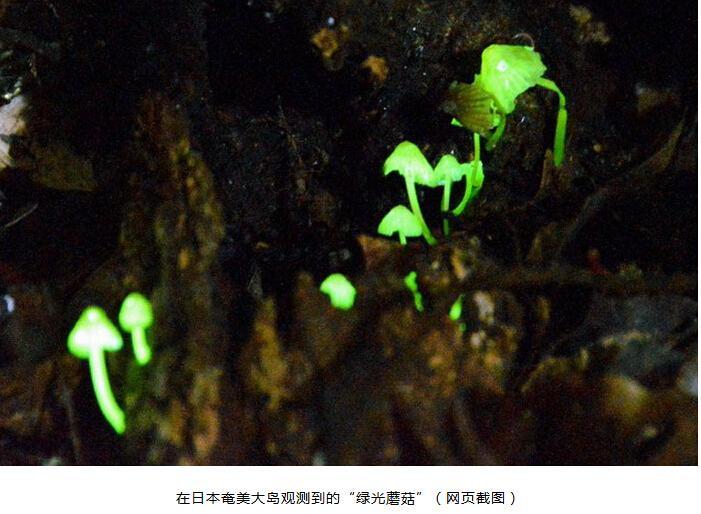 100个科学小实验会动的图案,100个科学物理动态图