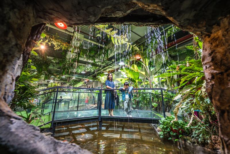 厦门冬春攻略,夏天厦门旅游攻略美食篇