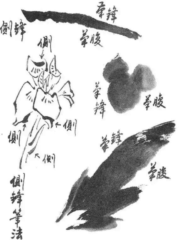 学会笔锋的正确方法,笔锋笔顺怎么练