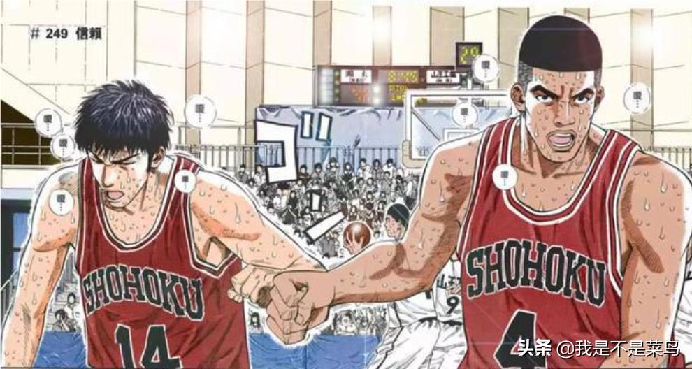 灌篮高手所有nba小知识,灌篮高手不为人知的细节