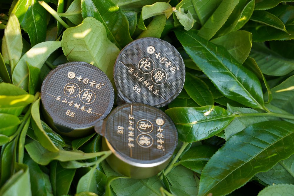 七彩云南茶寿百年,不确定变为确定图片