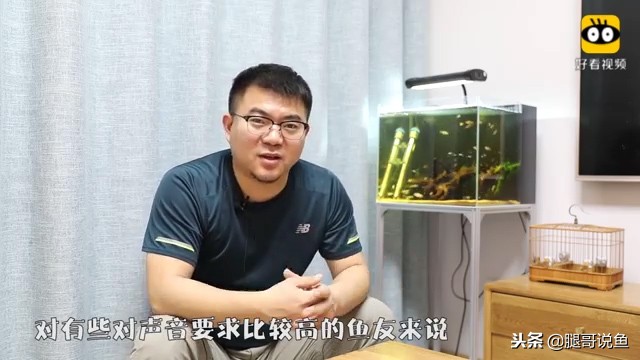 大缸什么过滤效果最好,什么过滤方式小缸效果最佳