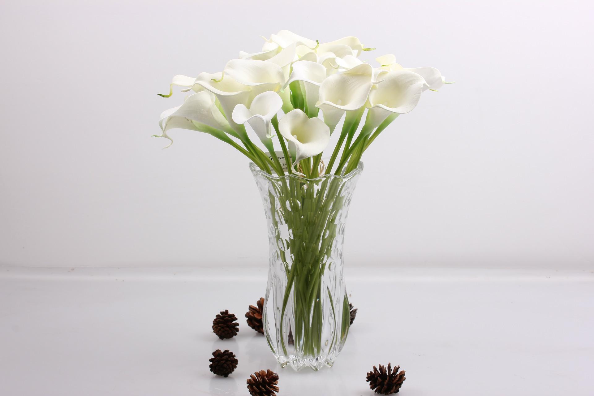 马蹄莲是马蹄开的花吗图片,叶子像马蹄的植物马蹄莲