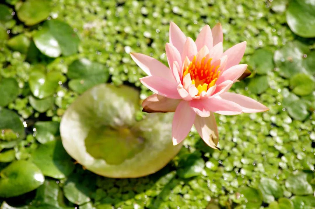 盐龙公园健身项目有哪些,盐龙体育公园室内