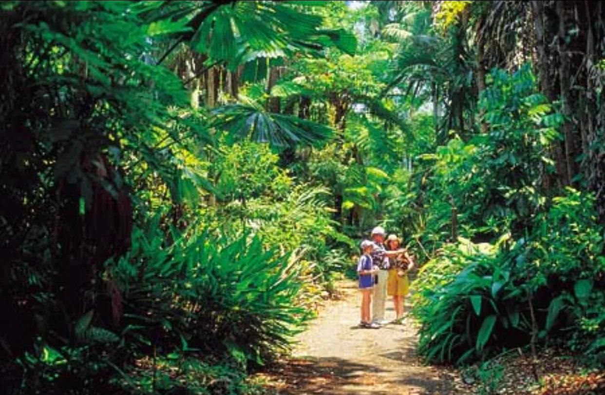 怎样识别中药巴戟天的优劣,中药巴戟天有哪些药理作用