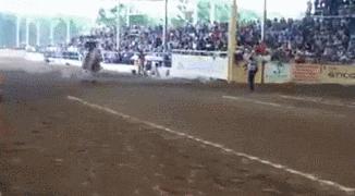 开心一刻gif搞笑动图,搞笑gif段子看起来能量满满