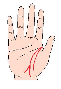 看手相可以预测什么,手相能预测考试吗