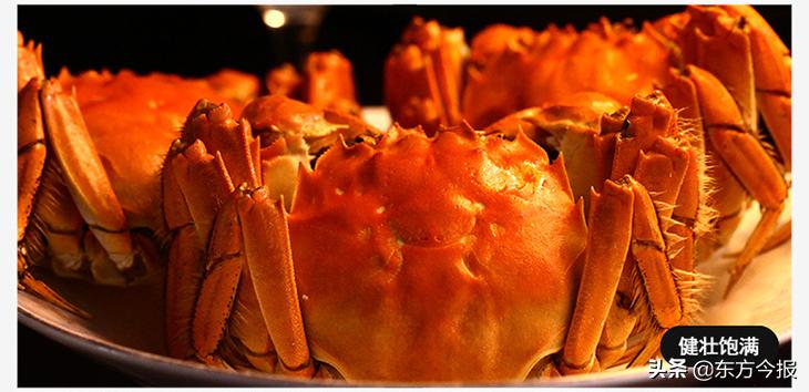 正宗阳澄湖大闸蟹2020价格,阳澄湖大闸蟹8只3两母蟹价格