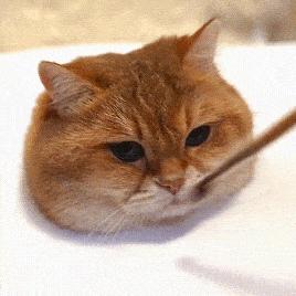 steam的钱怎么拿出来,steam怎么卖钱变现