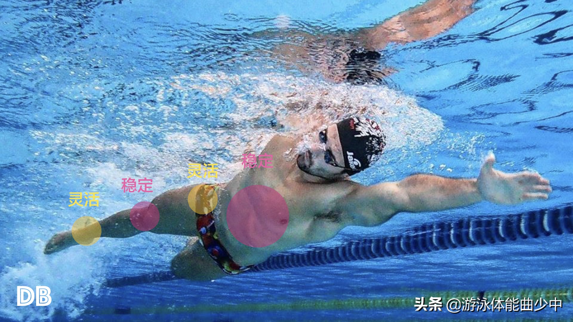 为什么游泳时要收紧核心?近端稳定造就远端的出色技术