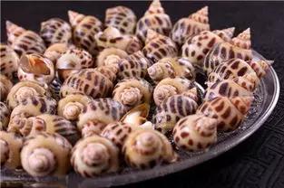 开海特价海鲜,开海的海鲜视频