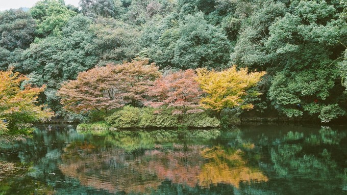 杭州西湖乌镇苏州南京上海攻略,天青色等烟雨乌镇旅游