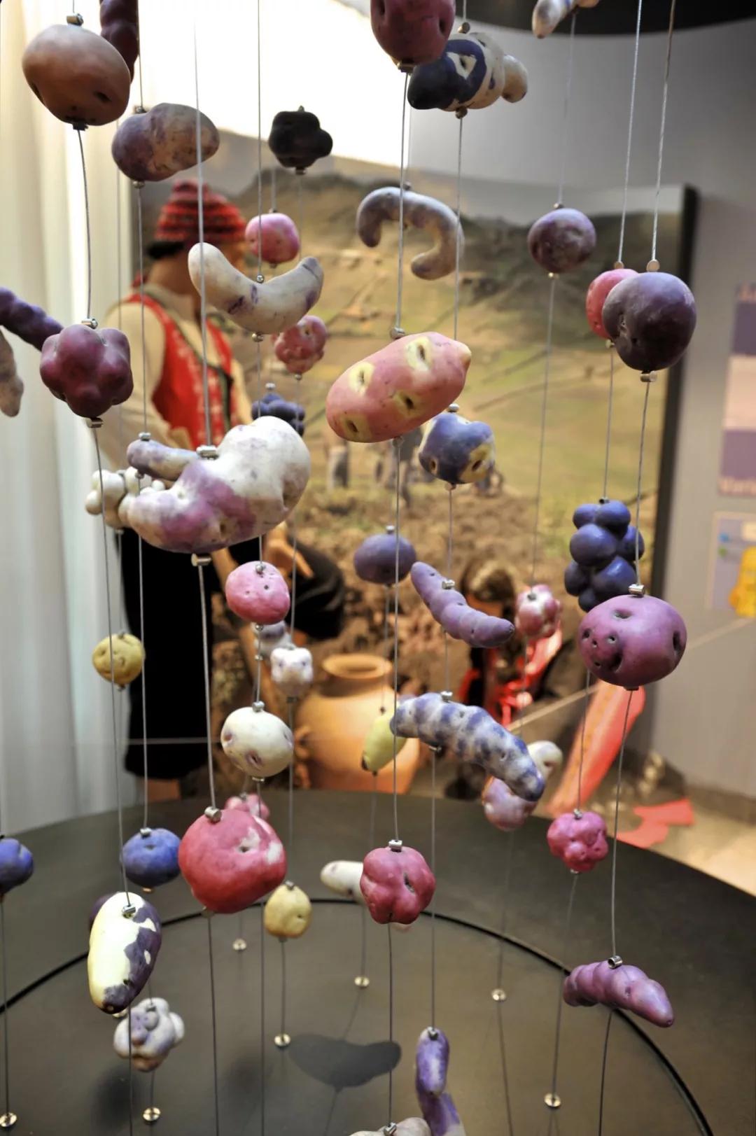 有趣博物馆,趣味馆推荐