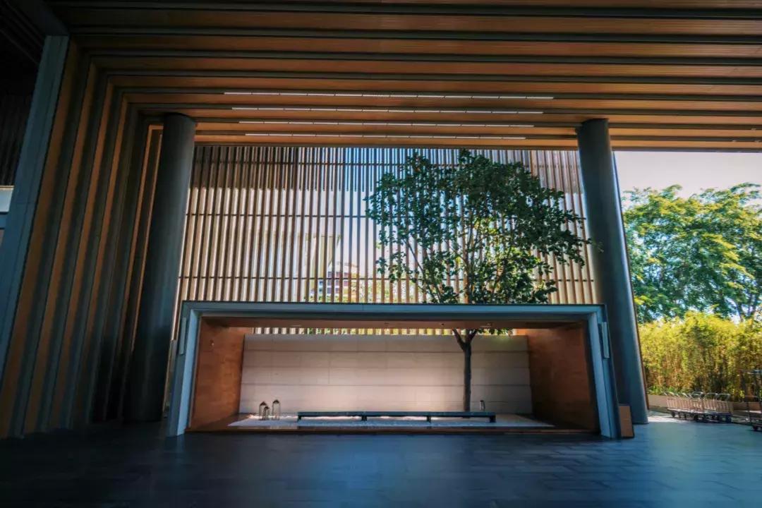 三亚海棠湾jw万豪与艾迪逊对比,不服来辩下一句