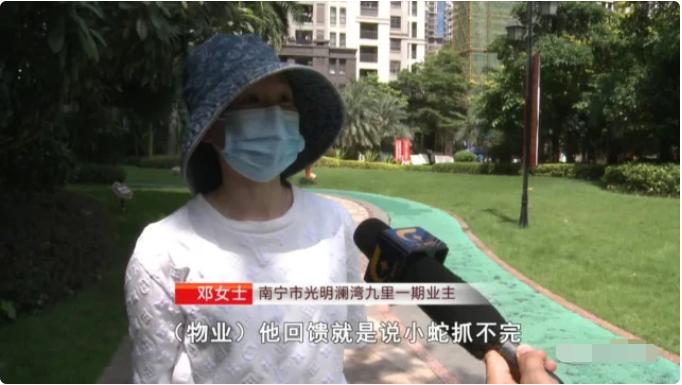 物业都说抓不完!南宁一小区惊现眼镜蛇银环蛇,养猫养狗能防蛇吗