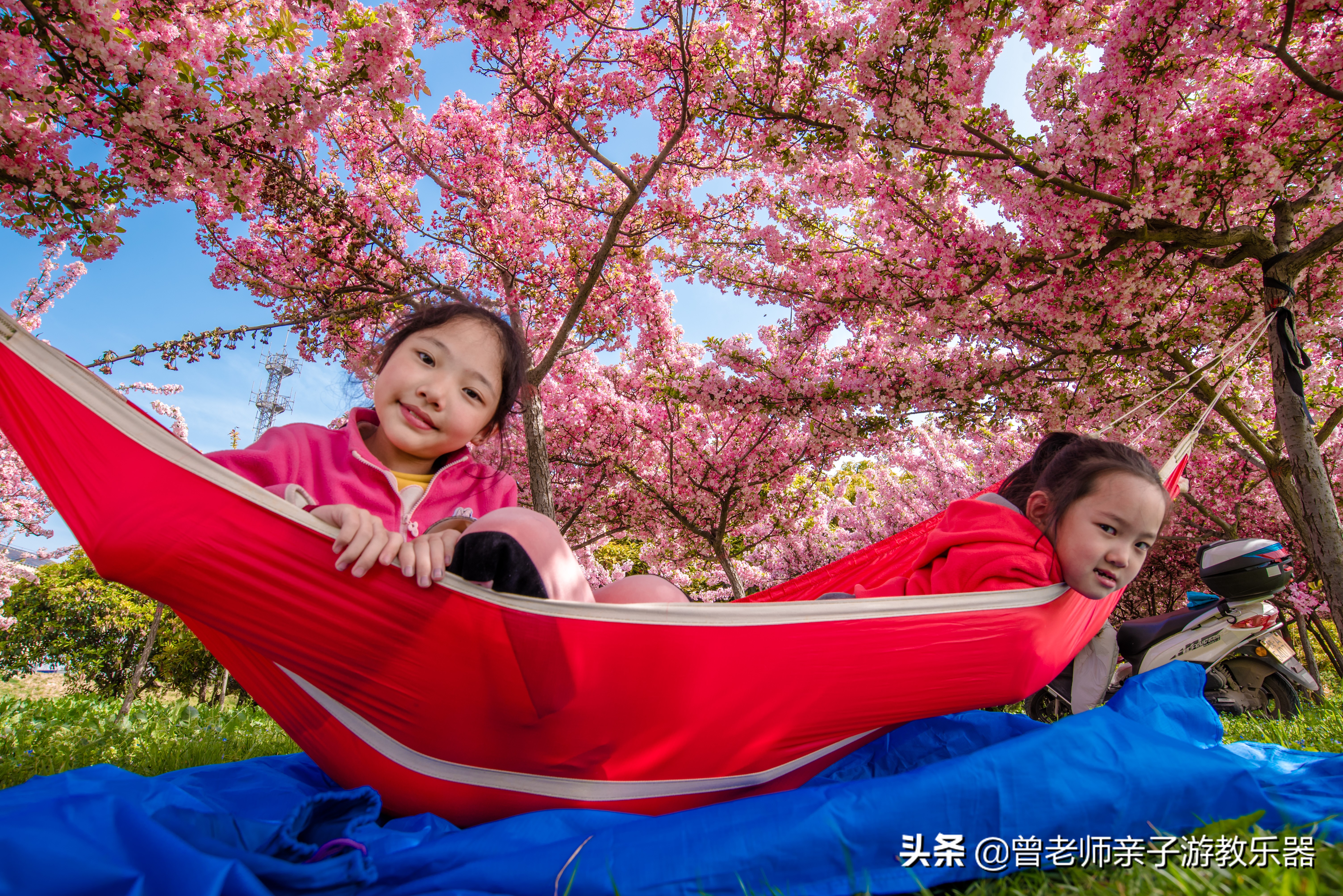 2022西安遛娃一日游的绝佳去处,2022年春节西安遛娃去哪玩最合适