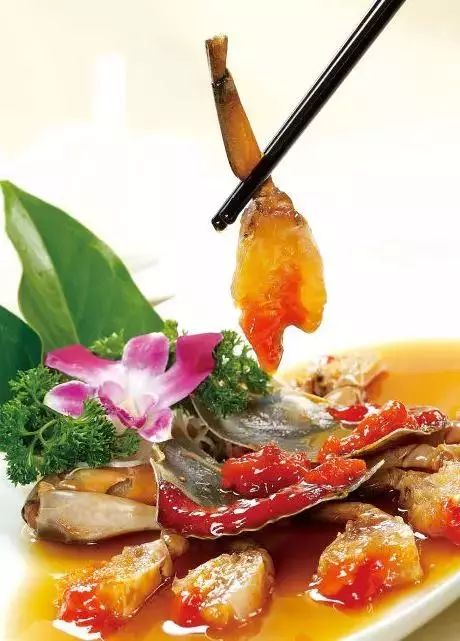 东泰禾推荐餐厅,再见百度完整视频