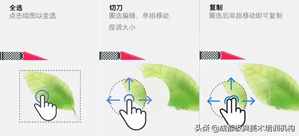 sketches绘图软件,sketches上色教程