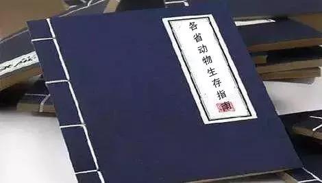 中国动物死亡事件,全国每年有多少动物死亡