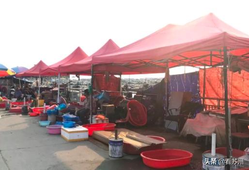 阳澄湖大闸蟹开售,吃货阳澄湖大闸蟹