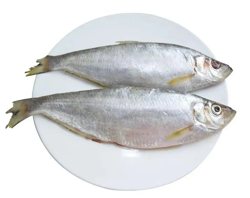 有什么样鳞片的鱼不能吃,这六种鱼千万不要吃