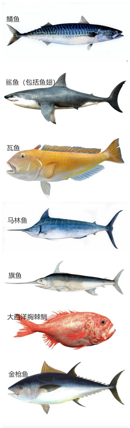 孕期吃鱼,孕期吃鱼的做法大全