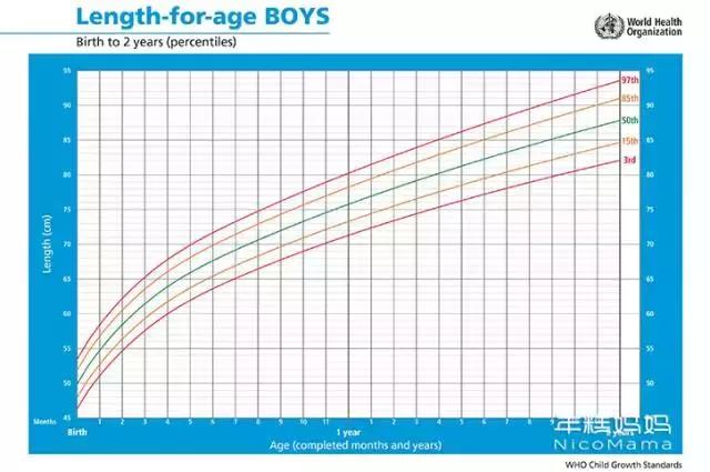 8-9个月宝宝辅食安排表发糕,9月龄宝宝辅食