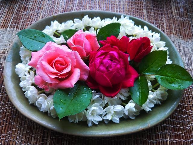 最简单的茉莉精油,重瓣茉莉精油