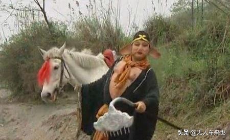 西游记白龙马和师徒四人的简介,西游记中先收的沙僧还是白龙马