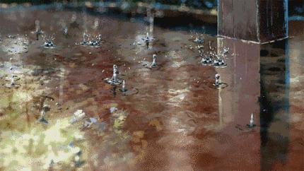 拍全家福应该用什么拍,影楼拍全家福怎么拍好看