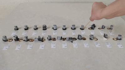 蕲艾和普通艾对比实验,蕲艾鉴别