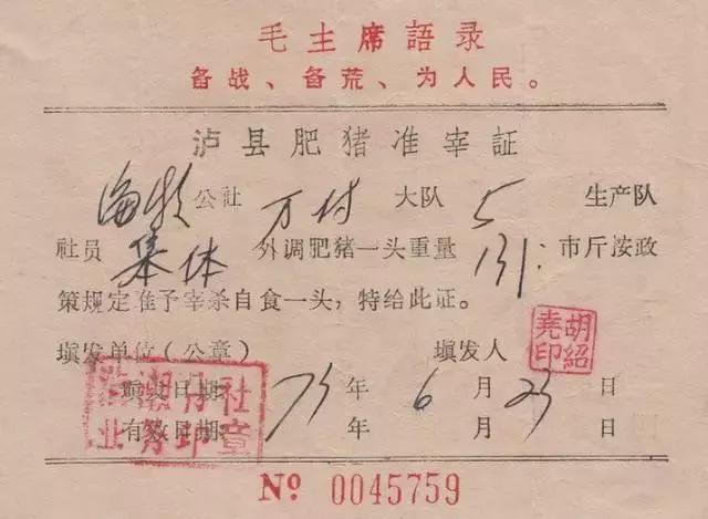 时代记忆票证大全,100个票证大全