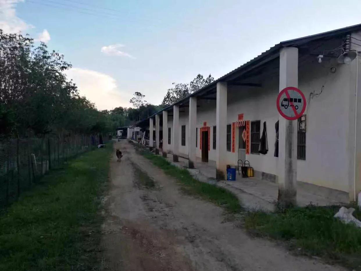 开心部落视频,开心部落平凉